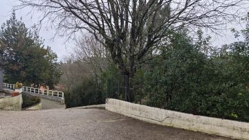 Podador de Árvores - Casa
