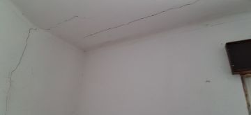 Pintura