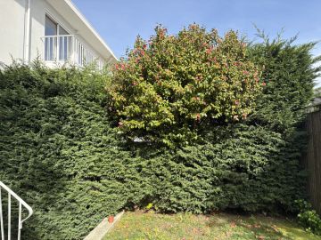 Jardinagem
