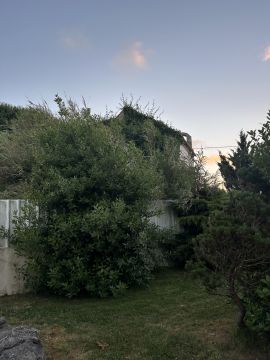 Jardinagem e Relvados