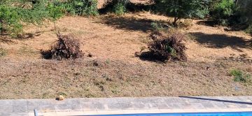 Jardinagem e Relvados