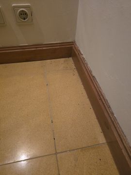 Desinfestação e Desbaratização