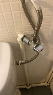 Toilet Repair - Plumbing