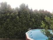 Tree Trimmer - Home Improvements
