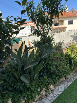 Gardener - Home Improvements