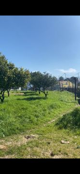 Jardinagem