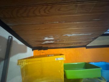 Paredes, Pladur e Escadas - Casa