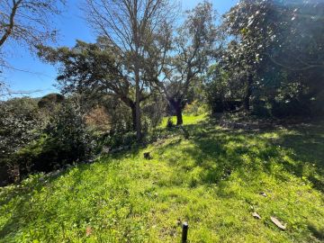 Jardinagem e Relvados