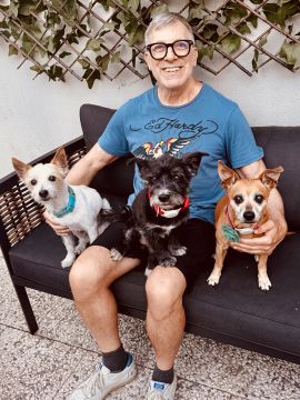 Creche para Cães