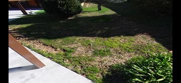 Jardinagem