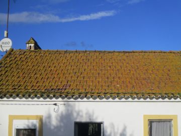 Construtor de Telhados