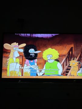 Reparador de TV
