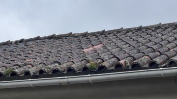 Experte für den Hausbau - Haus