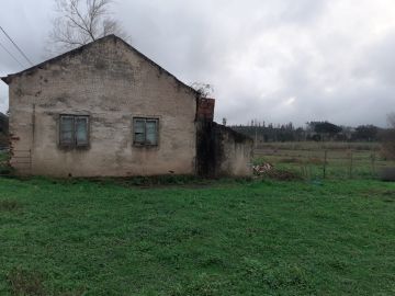 Instalación o reemplazo de tejados