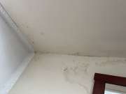 Interior Painter - Home Improvements
