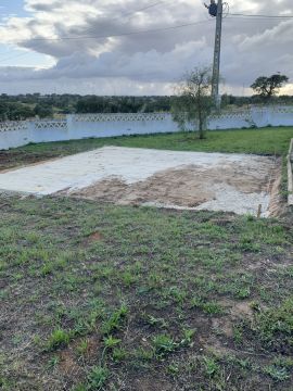 Artificial Turf Specialist