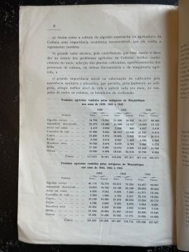 Genealogista - Serviços Variados