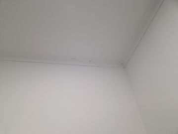Empresa de Controlo de Pragas