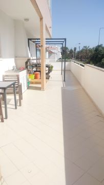 Especialista de Reparação de Terraços - Casa