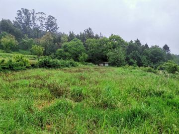 Limpeza de Terrenos - Jardinagem e Relvados