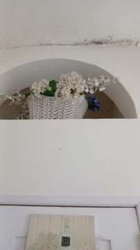 Additions and Remodels