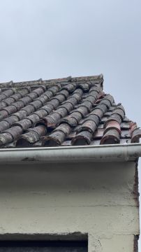 Dachdecker (Bau- oder Austausch)