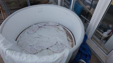 Especialista de Limpeza de Jacuzzi e Spa
