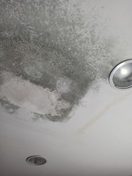 Canalizador
