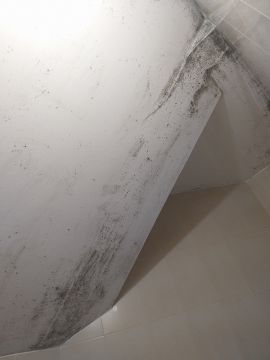 Pintor de Casas