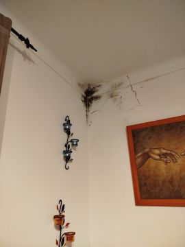 Pintor de Casas - Casa