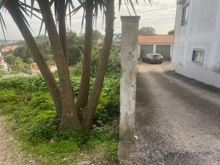 Betão / Cimento / Asfalto
