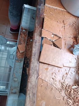 Tile Repair Specialist