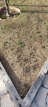 Landscaping - Home Improvements
