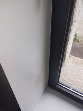 Spezialisten für Gipsputz