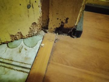 Remodelações