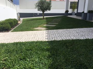 Aménagement paysager