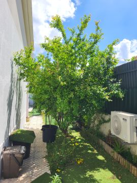 Jardinagem - Jardinagem e Relvados