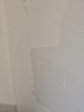 Pintura de Interiores