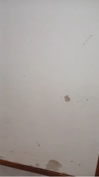 Pintor de Interiores
