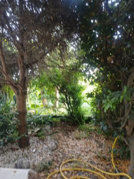 Jardinage