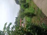 Gardener