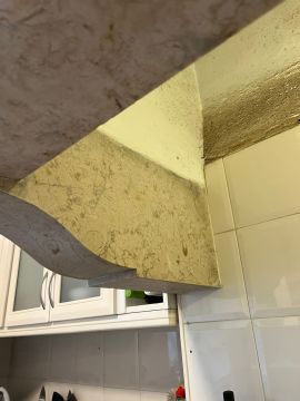 Kitchen Fan Professional