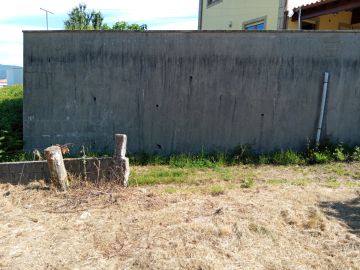 Paisagismo