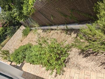 Jardinagem - Jardinagem e Relvados
