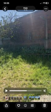 Jardinagem e Relvados - Casa