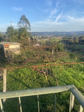 Jardinagem