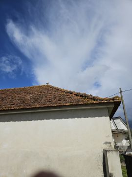 Roof Installation or Replacement