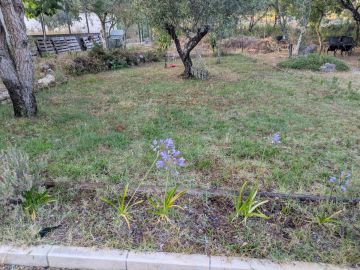 Jardinagem