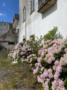 Serviço de Jardinagem