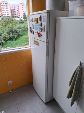 Refrigerator Repairman